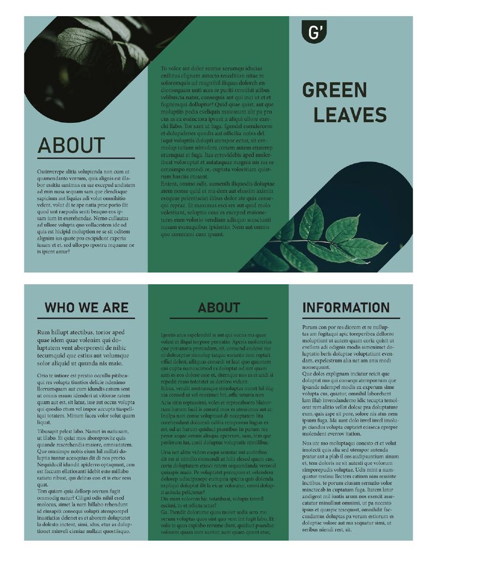 Magazine & Trifold Magazine — Magazine Design project by Robinson Methri